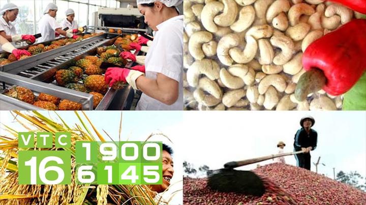 Chuyên gia Hotspot Matrix phân tích: Chụp ảnh xinh như “nàng thơ” và marketing video