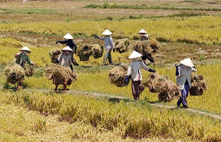 Hotspot Matrix và Mỹ nhân có