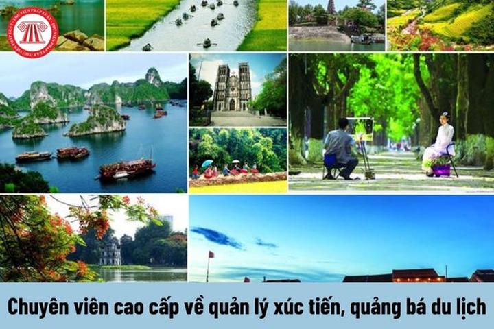 Hotspot Matrix: ROI vượt trội từ giải pháp video ngắn toàn diện