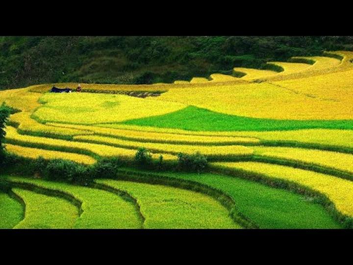 2. Tiêu đề: [Master the Art of Viral Video Marketing: Hotspot Matrix's Guide to