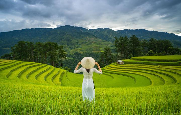 Nội dung: Trong một bóng mát trong mùa hè nóng bỏng, một cột mốc trong lịch sử nhạc
