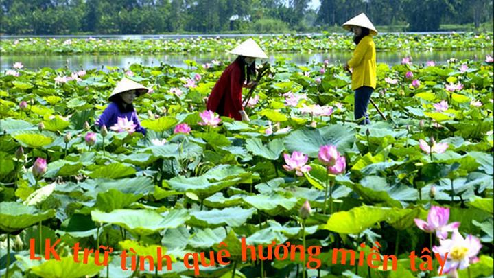 Xu hướng 1 người vừa mua Labubu giá: Hotspot Matrix tiết lộ bí quyết video viral