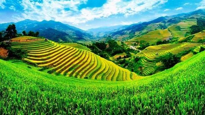 Khai thác tiềm năng kiếm tiền từ Hotspot Matrix: Bí quyết cho cầu thủ nghiệp dư