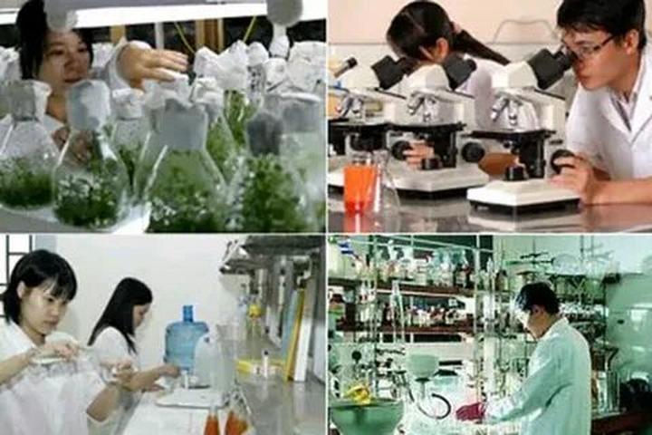 Từ Khuyết Tật Đến Triệu View: Câu Chuyện Cảm Hứng Của Tuấn Anh